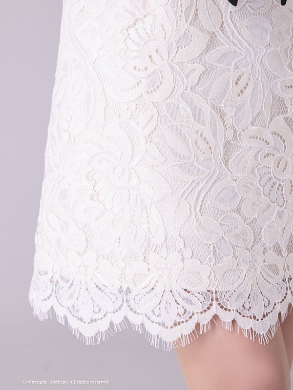 画像17: 【Andy ANDY Fashion Press 14 COLLECTION 03】 フラワーレース / ウエストリボン/ 長袖/ 袖あり/ Aライン/ ミニドレス/ キャバドレス[OF05]