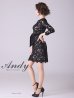 画像3: 【Andy ANDY Fashion Press 14 COLLECTION 03】 フラワーレース / ウエストリボン/ 長袖/ 袖あり/ Aライン/ ミニドレス/ キャバドレス[OF05]