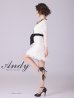 画像12: 【Andy ANDY Fashion Press 14 COLLECTION 03】 フラワーレース / ウエストリボン/ 長袖/ 袖あり/ Aライン/ ミニドレス/ キャバドレス[OF05]