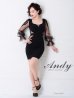 画像11: 【ANDY Fashion Press vol.15 掲載商品】シアー/ 長袖/ 袖あり/ カットアウト/ シアー/ タイト/ ミニドレス/ キャバドレス[OF05]