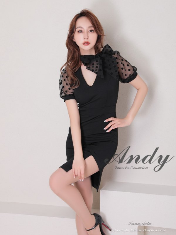 画像1: 【Andy ANDY Fashion Press 14 COLLECTION 03】 ドット / シアー / パフスリーブ / 袖あり/ タイト / ミニドレス / キャバドレス[OF05]