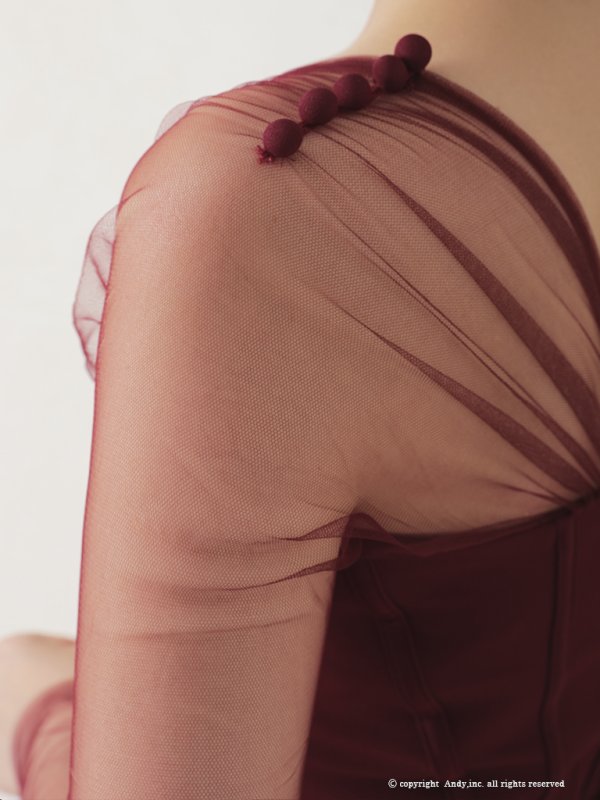 画像25: 【ANDY/アンディ】ワンカラー/ シースルー/長袖/ 袖あり/ バックリボン/ タイト/ ミニドレス/ キャバドレス[OF05]