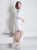 画像4: 【Andy ANDY Fashion Press 15 COLLECTION 05】総レース / 袖あり/ 五分袖/ タイト/ ミニドレス/ キャバドレス[OF05]