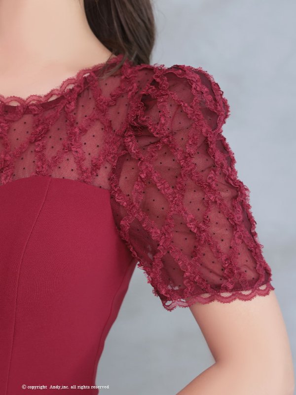 画像6: 【Andy ANDY Fashion Press 16 COLLECTION 06】ドットレース/ シアー/ 半袖/ 袖あり/ テールカット/ フリル/ ミディアムドレス/ キャバドレス[OF05]