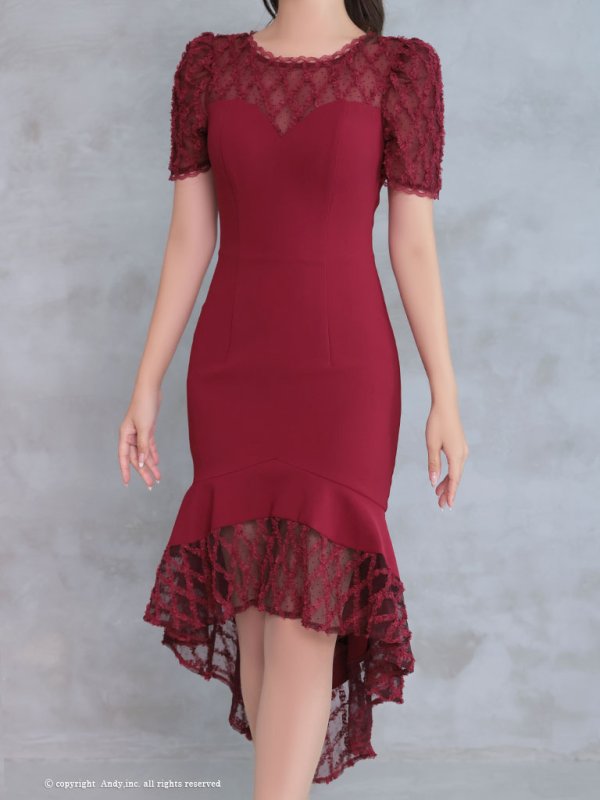 画像5: 【Andy ANDY Fashion Press 16 COLLECTION 06】ドットレース/ シアー/ 半袖/ 袖あり/ テールカット/ フリル/ ミディアムドレス/ キャバドレス[OF05]