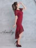 画像11: 【Andy ANDY Fashion Press 16 COLLECTION 06】ドットレース/ シアー/ 半袖/ 袖あり/ テールカット/ フリル/ ミディアムドレス/ キャバドレス[OF05]