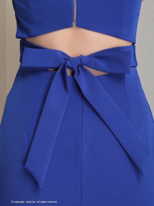 画像35: 【ANDY/アンディ】ワンカラー/ フロントジップ/ 半袖/ 袖あり/ バックリボン/ タイト/ ミニドレス/ キャバドレス[OF05]