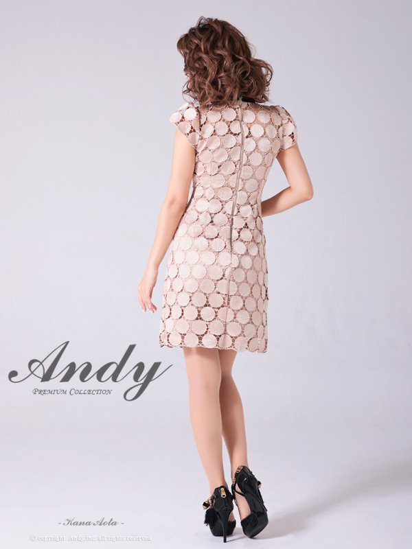 画像12: 【Andy /アンディ】ドットレース/ ハイネック/ フロントリボン/ 半袖/ タイト/ ミニドレス/ キャバドレス[OF05]