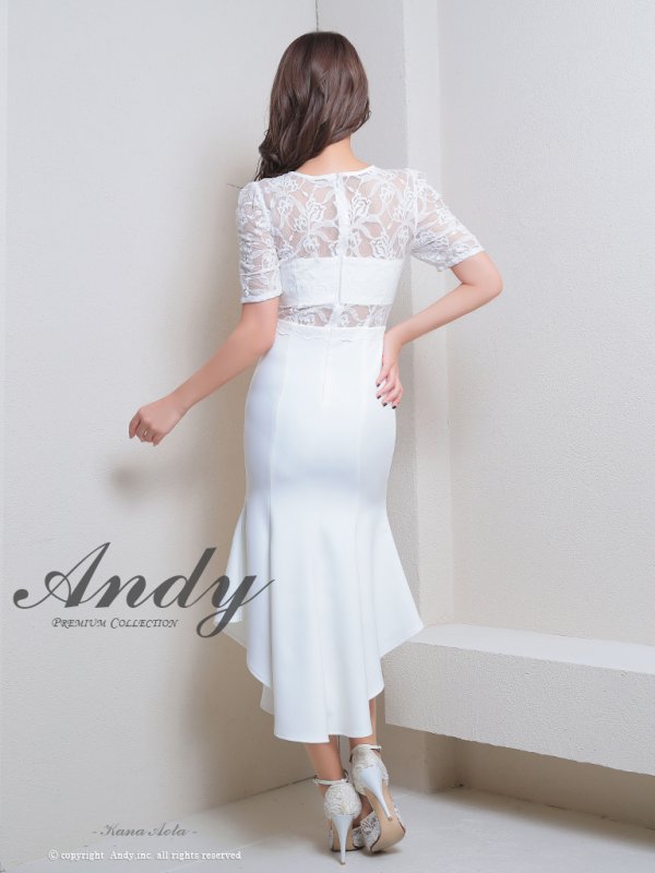 画像19: 【Andy ANDY Fashion Press 17 COLLECTION 01】マーメイド/ ワンカラー/ レース/ シアー/ 袖あり/ 半袖/ ミディアムドレス/ キャバドレス[OF05]