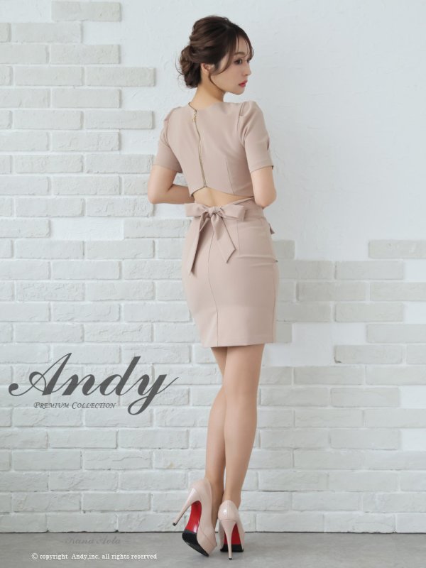 画像44: XSサイズあり【ANDY/アンディ】ワンカラー/ チェーン/ バックリボン/ 袖あり/ 半袖/ タイト/ ミニドレス/ キャバドレス[OF05]