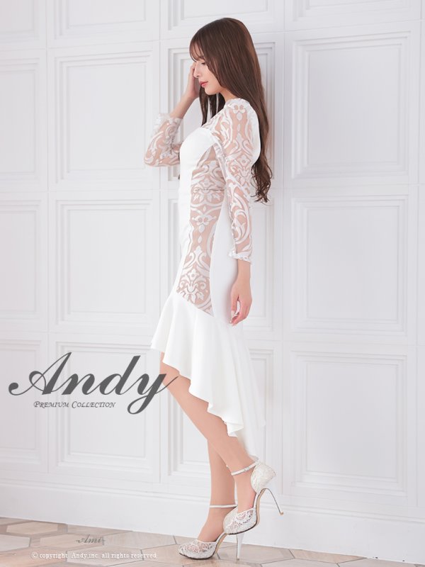 画像3: 【ANDY/アンディ】 シアー/ ジップ/ 長袖/ 七分袖/ テールカット/ マーメイド/  膝丈/ ミディアムドレス/ キャバドレス[OF05]