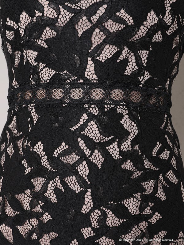 画像23: 【Andy /アンディ】総レース/ ショートスリーブ/ 袖あり/ ウエストシアー/ 膝丈/ タイト/ ミニドレス/ キャバドレス[OF05]