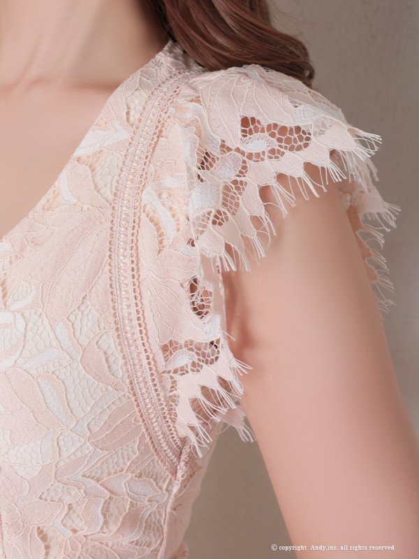 画像6: 【Andy /アンディ】総レース/ ショートスリーブ/ 袖あり/ ウエストシアー/ 膝丈/ タイト/ ミニドレス/ キャバドレス[OF05]