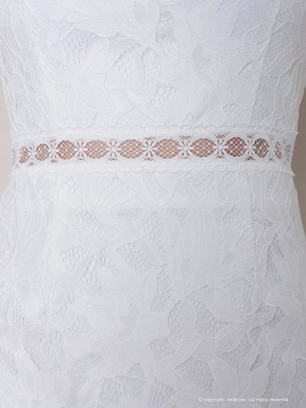 画像15: 【Andy /アンディ】総レース/ ショートスリーブ/ 袖あり/ ウエストシアー/ 膝丈/ タイト/ ミニドレス/ キャバドレス[OF05]