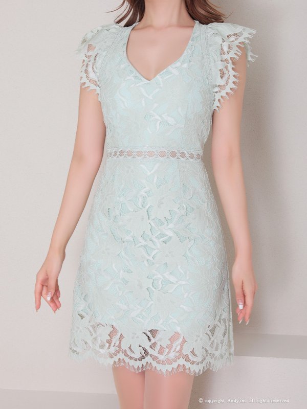 画像29: 【Andy /アンディ】総レース/ ショートスリーブ/ 袖あり/ ウエストシアー/ 膝丈/ タイト/ ミニドレス/ キャバドレス[OF05]