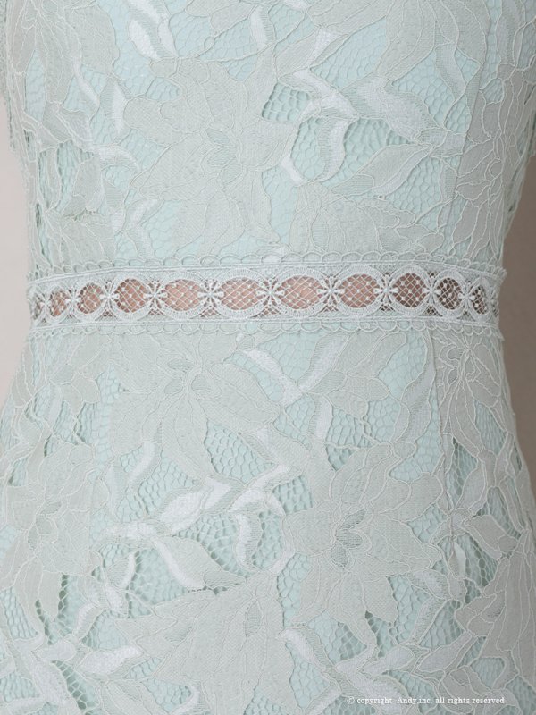 画像31: 【Andy /アンディ】総レース/ ショートスリーブ/ 袖あり/ ウエストシアー/ 膝丈/ タイト/ ミニドレス/ キャバドレス[OF05]