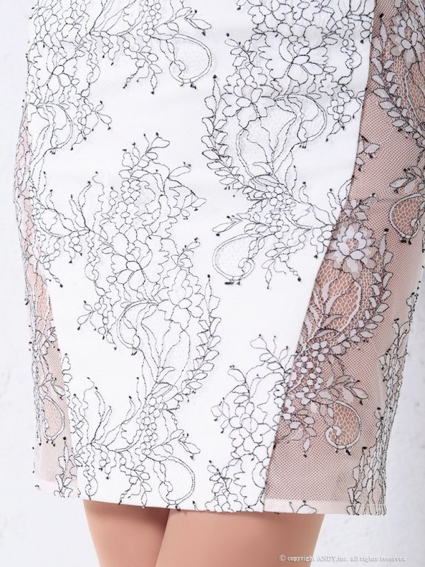 画像8: 【an /アン】フラワーレース/ バストスピンドル/ ロングスリーブ/ タイト/ ミニドレス/ キャバドレス[FB03]