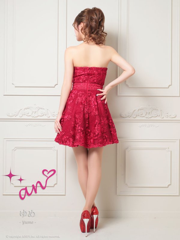 画像4: 【an /アン】フラワー刺繍/ レース/ ベア/ 切替/ フレア/ Aライン/ ミニドレス/ キャバドレス[FB03]