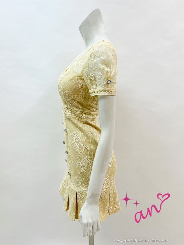 画像10: 【an/アン】総レース/ 半袖/ 袖あり/ ボタン/ ボックスプリーツ/ タイト/ ミニドレス/ キャバドレス[FB03]