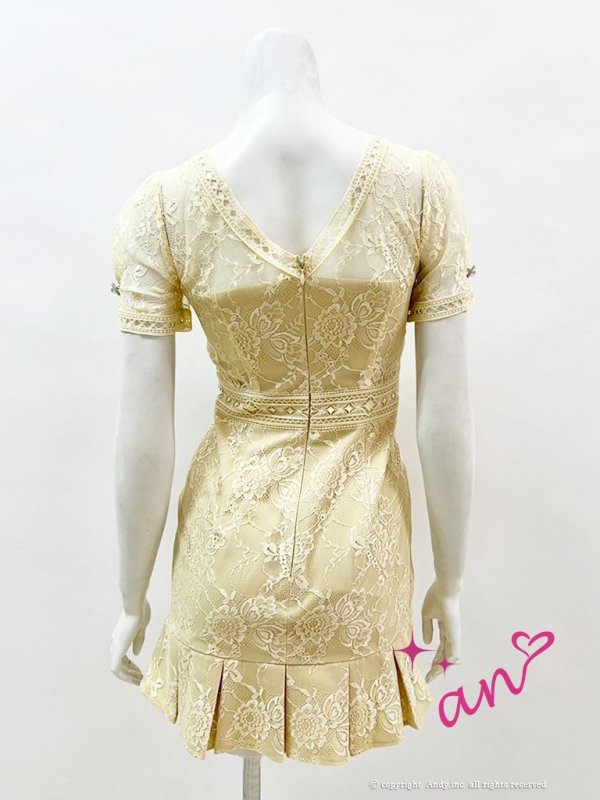 画像11: 【an/アン】総レース/ 半袖/ 袖あり/ ボタン/ ボックスプリーツ/ タイト/ ミニドレス/ キャバドレス[FB03]