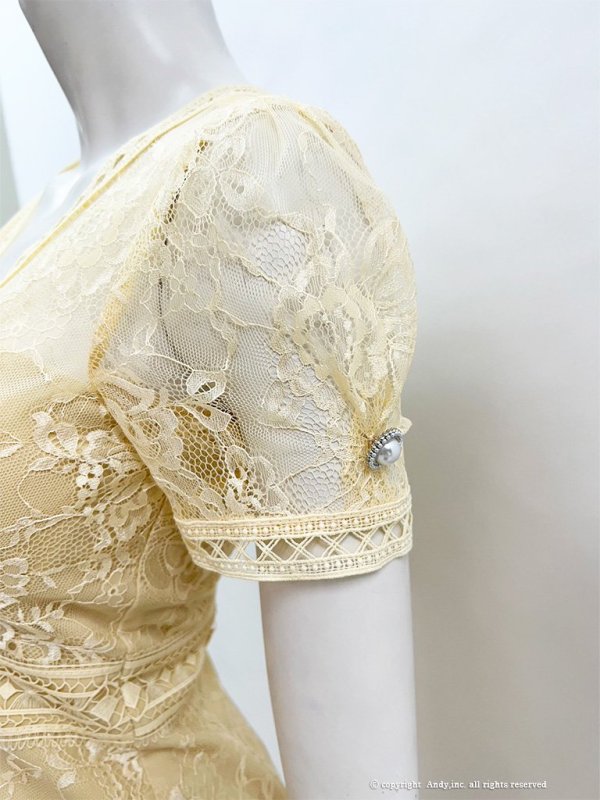 画像13: 【an/アン】総レース/ 半袖/ 袖あり/ ボタン/ ボックスプリーツ/ タイト/ ミニドレス/ キャバドレス[FB03]