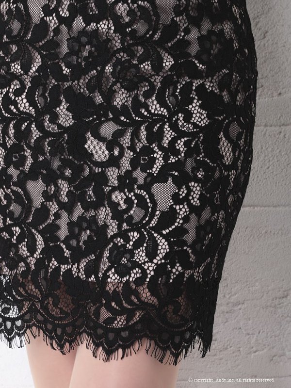 画像8: 【ANDY/アンディ】フラワーレース/ フリル/ バックリボン/ タイト/ ミニドレス/ キャバドレス[OF05]