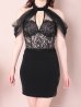 画像5: 【an ANDY Fashion Press 10 COLLECTION 01】 シフォン/ レース/ アメスリ/ 切り替えデザイン/ タイト/ ミニドレス/ キャバドレス[OF05]