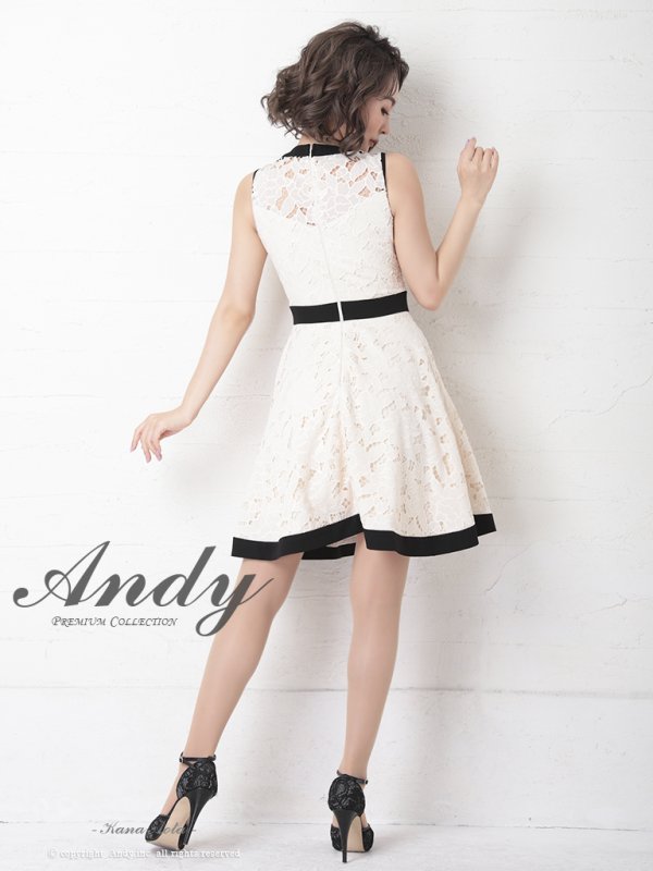 画像19: 【Andy ANDY Fashion Press 11 COLLECTION 04】フラワーレース/ ウエストリボン/ ノースリーブ/ ラインデザイン/ フレア/ ミニドレス/ キャバドレス[OF05]