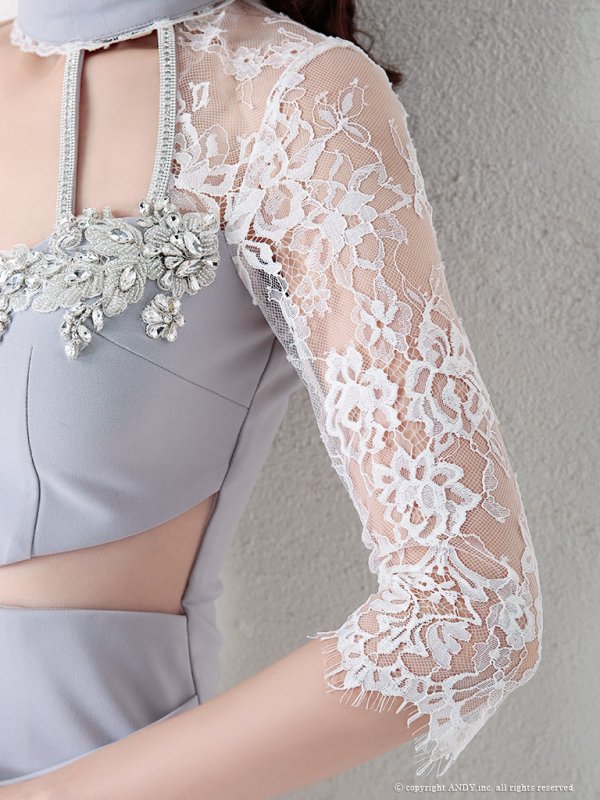 画像3: 【sugarxANDYコラボカラーあり!!】 an ANDY FASHION PRESS 03 COLLECTION 02【an/アン】チョーカー/ シアー/ ストレッチ/ タイト/ ミニドレス/ キャバドレス[OF05]