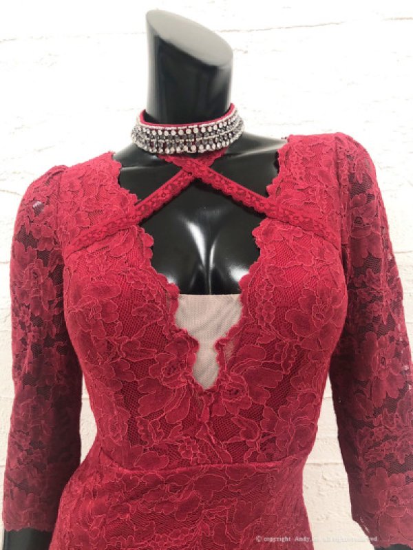 画像13: 【GLAMOROUS ANDY Fashion Press 09 COLLECTION 04】総レース/ シアー/ 七分袖/ 長袖/ 袖あり/ Vネック/ ロングドレス/ キャバドレス long[OF05]