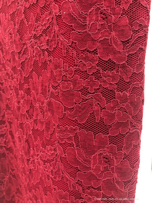 画像14: 【GLAMOROUS ANDY Fashion Press 09 COLLECTION 04】総レース/ シアー/ 七分袖/ 長袖/ 袖あり/ Vネック/ ロングドレス/ キャバドレス long[OF05]