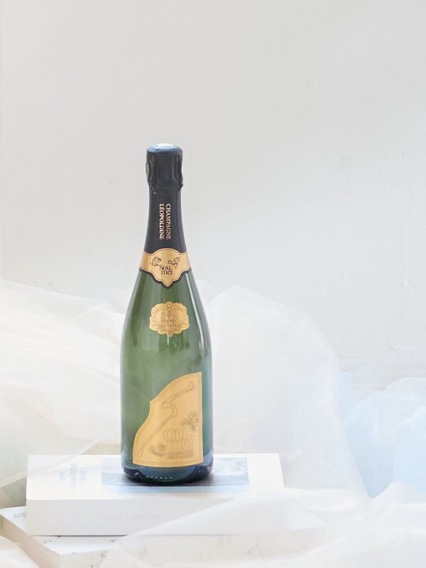 画像14: 【圓谷はく / 関西コレクション着用】【Lip line/リップライン】フラワー刺繍/ 2段フレア/ Aライン/ チュール/ プリンセス/ ロングドレス/ キャバドレスlong[HC03]