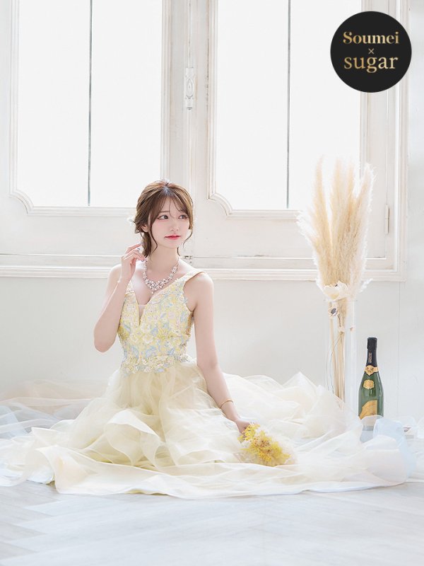 画像6: 【圓谷はく / 関西コレクション着用】【Lip line/リップライン】フラワー刺繍/ 2段フレア/ Aライン/ チュール/ プリンセス/ ロングドレス/ キャバドレスlong[HC03]