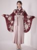 画像4: 【予約商品/1月中旬発送予定】ピンク芍薬 ワインレッド二尺袖着物【卒業袴３点セット 二尺袖着物/帯/袴】 (4)