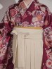 画像18: 【予約商品 / 1月中旬発送予定】菊×椿 ワインレッド二尺袖着物【卒業袴３点セット 二尺袖着物/帯/袴】 (18)