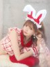 画像9: 【値下げ！】【即日発送】【ハロウィン】 チェックバニーセットアップ  【コスプレ6点セット】【XS-Lサイズ/2カラー】[YMT]