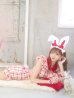 画像10: 【値下げ！】【即日発送】【ハロウィン】 チェックバニーセットアップ  【コスプレ6点セット】【XS-Lサイズ/2カラー】[YMT]