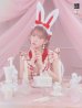 画像3: 【値下げ！】【即日発送】【ハロウィン】 チェックバニーセットアップ  【コスプレ6点セット】【XS-Lサイズ/2カラー】[YMT]