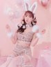 画像12: 【即日発送】【ハロウィン】 ファーツイードバニーセットアップ 【コスプレ8点セット】【XS-Mサイズ/3カラー】[YMT]