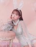 画像17: 【ハロウィン】 レースバニーオールインワン 【コスプレ5点セット】【S-Lサイズ/3カラー】[YMT]