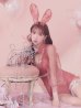 画像6: 【ハロウィン】 レースバニーオールインワン 【コスプレ5点セット】【S-Lサイズ/3カラー】[YMT]
