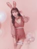 画像11: 【ハロウィン】 レースバニーオールインワン 【コスプレ5点セット】【S-Lサイズ/3カラー】[YMT]
