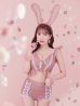 画像9: 【即日発送】【ハロウィン】 フリルレースバニーセットアップ 【コスプレ6点セット】 【S-Mサイズ/3カラー】[YMT]