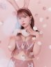 画像13: 【即日発送】【ハロウィン】 フリルレースバニーセットアップ 【コスプレ6点セット】 【S-Mサイズ/3カラー】[YMT]