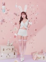 【即日発送】【ハロウィン】 フリルレースバニーセットアップ 【コスプレ6点セット】 【S-Mサイズ/3カラー】[YMT]