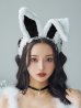 画像15: 【ハロウィン】 ファーキャミレースバニーガール 【コスプレ6点セット】 【XS-Mサイズ/2カラー】[YMT]【一部予約商品/5月下旬発送予定】