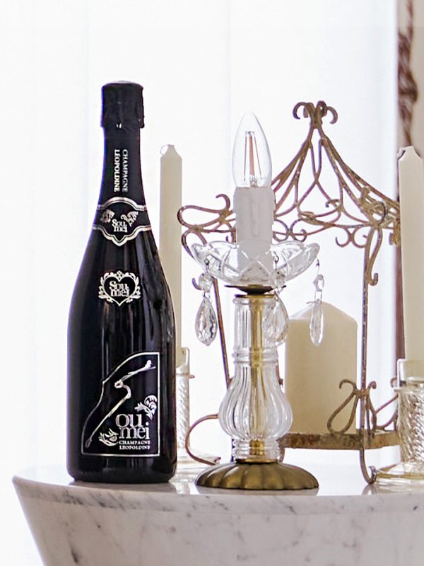 画像15: 【即日発送】アラビアンガール/アラジンコスプレセット【ハロウィン7点セット】【フリーサイズ/4カラー】[HC03]