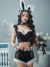 画像12: 【即日発送！】【ハロウィン】 総レースバニーフリルセットアップ【コスプレ7点セット】【XS-Lサイズ/3カラー】[YMT]