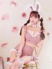 画像13: 【即日発送！】【ハロウィン】 総レースバニーフリルセットアップ【コスプレ7点セット】【XS-Lサイズ/3カラー】[YMT]