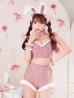 画像14: 【即日発送！】【ハロウィン】 総レースバニーフリルセットアップ【コスプレ7点セット】【XS-Lサイズ/3カラー】[YMT]